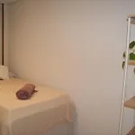 Nuevo, Luminoso, Reformado, Cerca Del Casco Viejo Апартаменти Більбао